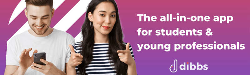 Blush Wave LinkedIn Banner